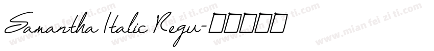 Samantha Italic Regu字体转换